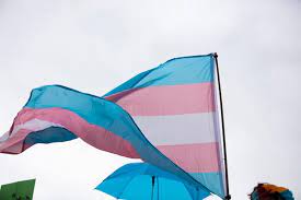 holebi en transgender