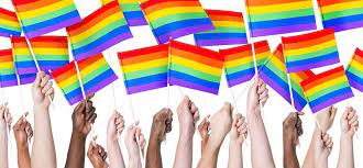 LGBTQ+ Advies en Hulp: Een Steunpilaar voor de Diverse Gemeenschap