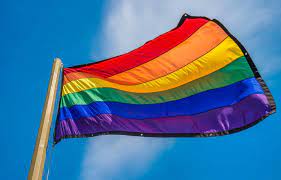 De Kracht van Diversiteit: Het Belang van LGBTQ+ Acceptatie in de Samenleving