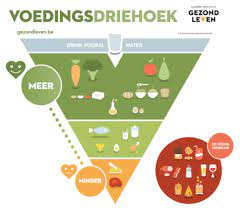 Optimale Gezondheid Door Evenwichtige Voeding