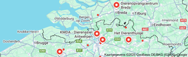 Help Dieren in Nood: Vrijwilligerswerk bij het Lokale Dierenasiel