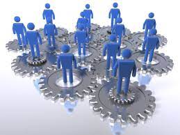 organisaties