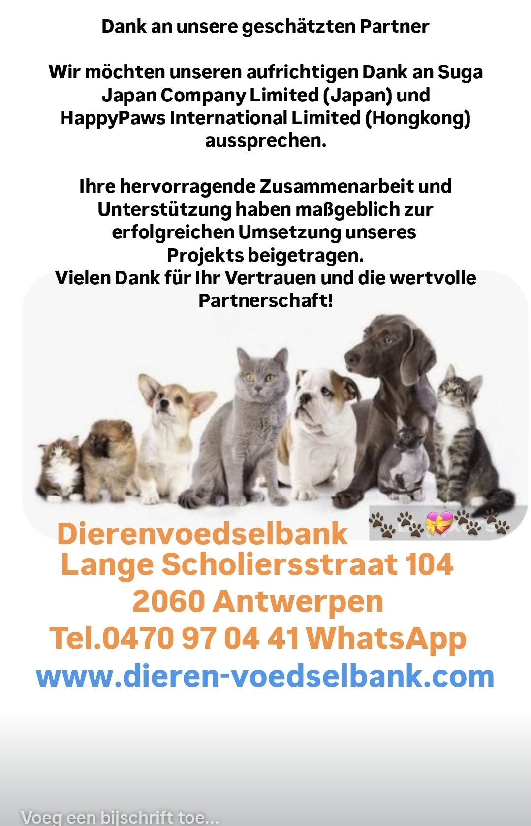 vrijwilligerswerk met dieren