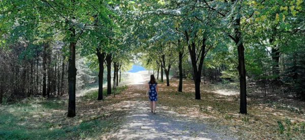 Belang van Basisveiligheid voor een Veilige Leefomgeving