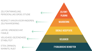 cursus persoonlijke ontwikkeling