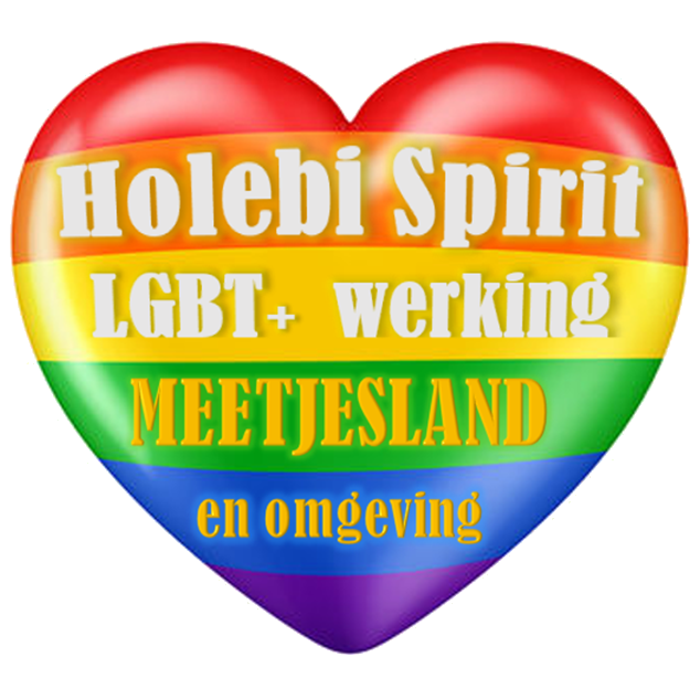 holebi verenigingen vlaanderen