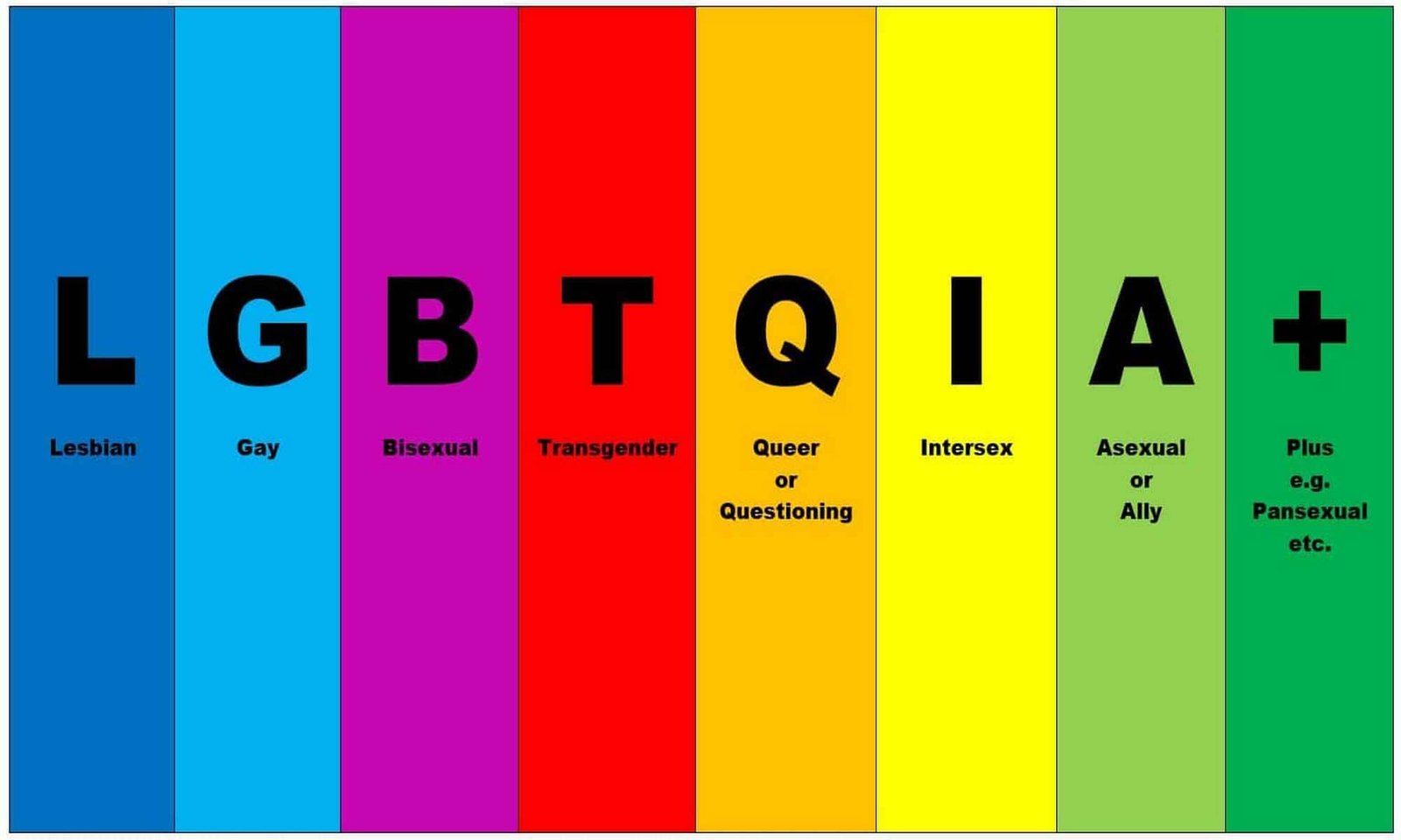 lgbtqia
